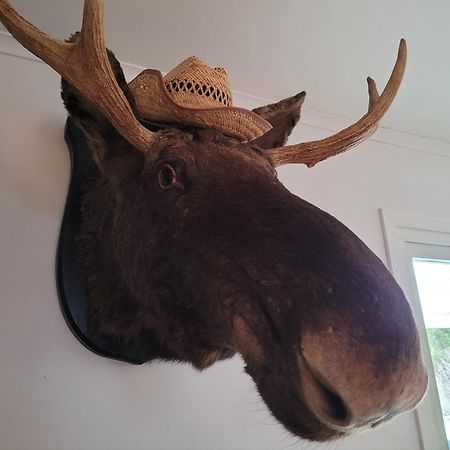 Landvetter Bnb Härryda Kültér fotó
